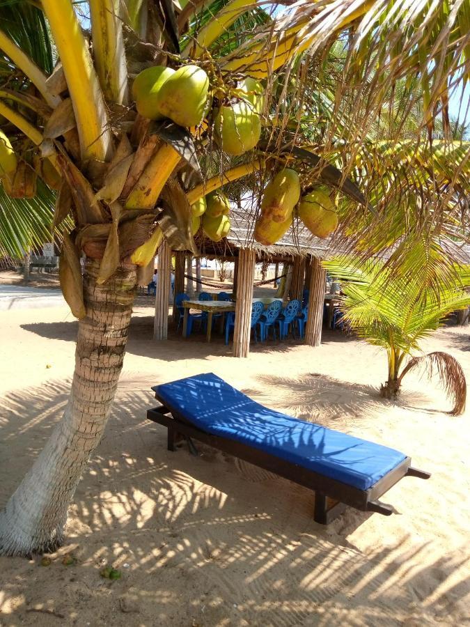 Piccola Beach Sassako Begniny ภายนอก รูปภาพ